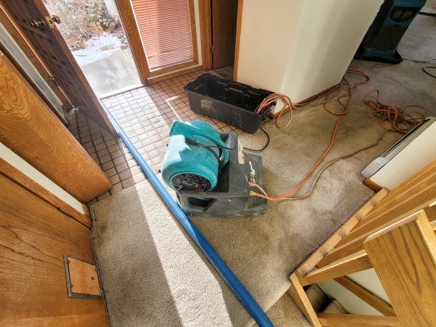 Best Sewage cleanup and water damage restoration  in Berwick, PA