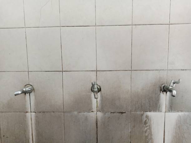 Best Water damage contractors near me  in Berwick, PA