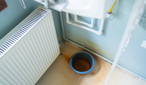 Best Mold removal after water damage  in Berwick, PA