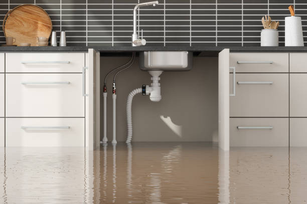 Best Ceiling water damage repair  in Berwick, PA