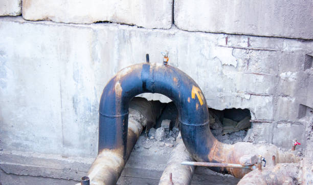 Best Water damage cleanup near me  in Berwick, PA