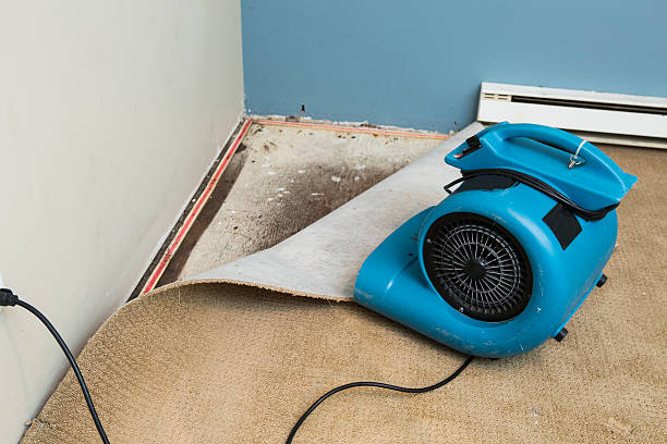Best Residential water damage restoration  in Berwick, PA